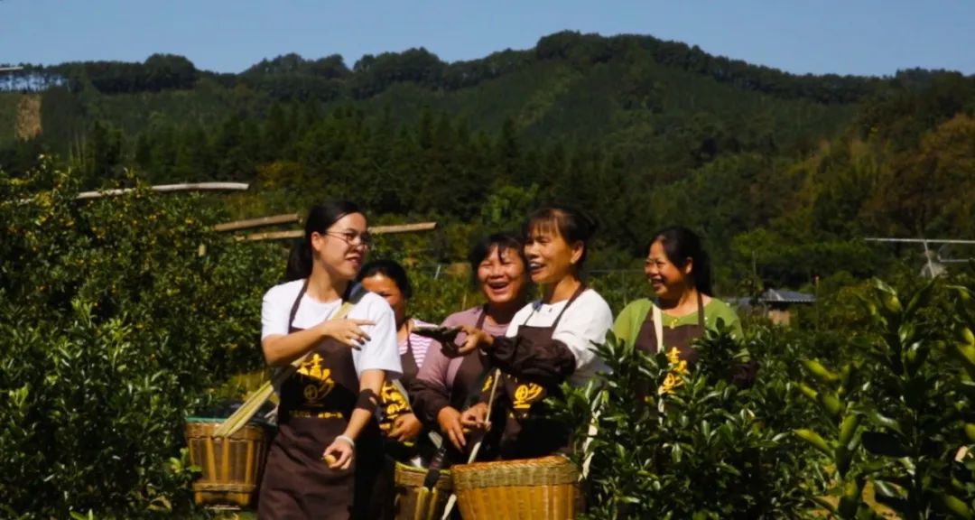 BOB半岛·体育(中国)官方网站柳州女孩获全区唯一一等奖！“新农人”风采展还有她(图16)