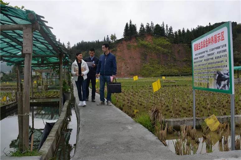 说明: https://mmbiz.qpic.cn/mmbiz_jpg/exB4kxnc9t7kS2D0T0vagkBVG5gfP5sHBJy3LtxDsSibg4Mez06w6R0QlkxFI3fOwYCFueREQ8WRnBTM0uAicghg/0?wx_fmt=jpeg