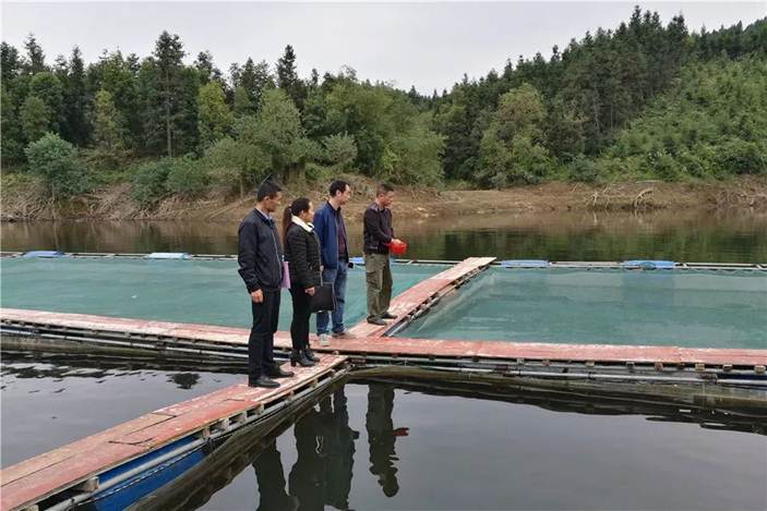 说明: https://mmbiz.qpic.cn/mmbiz_jpg/exB4kxnc9t7kS2D0T0vagkBVG5gfP5sHfPSiboMHkg0kYH1a2z9BnAORcnlG10cKCNUTEWB2ON7Iv6zFRl1u8oQ/0?wx_fmt=jpeg