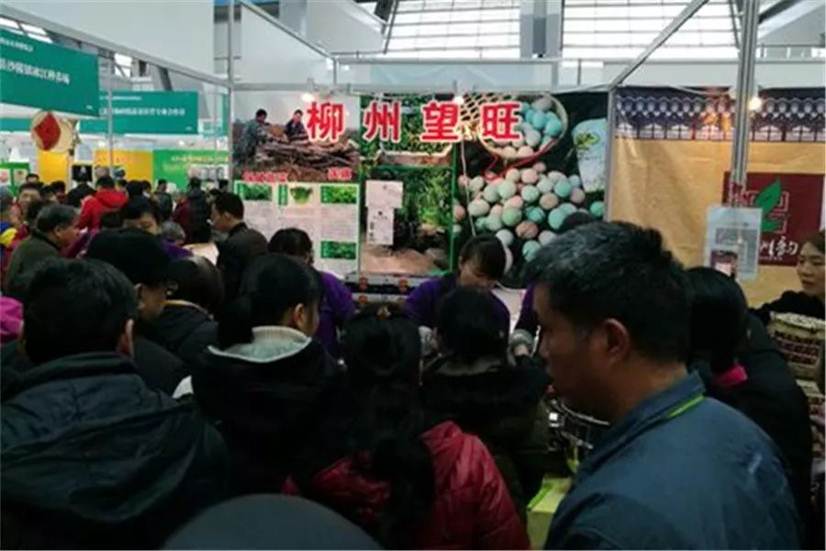 说明: https://mmbiz.qpic.cn/mmbiz_jpg/exB4kxnc9t6JLb3IibRURicLQDbw2zcEnjuQxwDibcHgpibwrlTZZNHsQ0FOjAeibc9MtLc2cc9P8D9ySHT7jR53ZJw/0?wx_fmt=jpeg